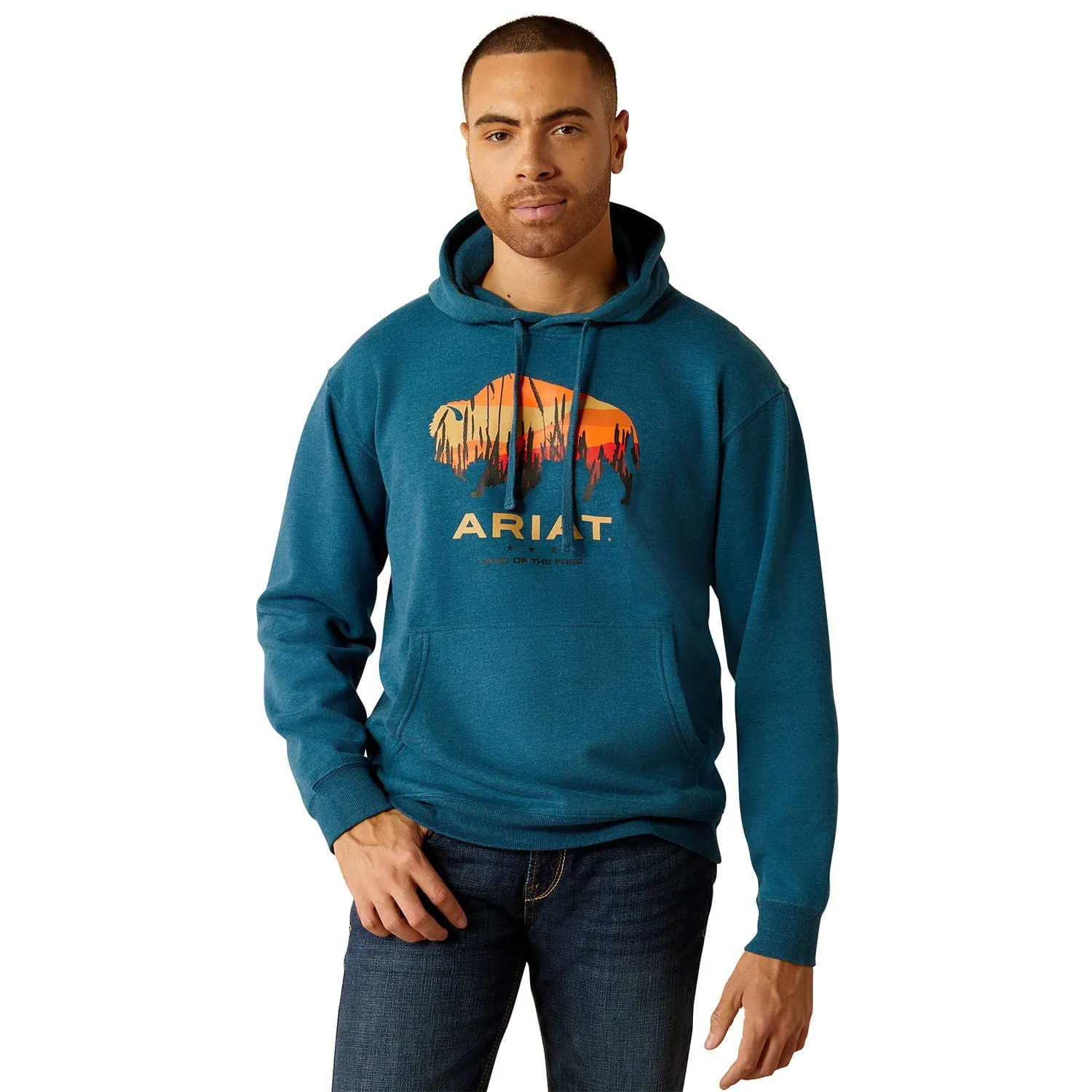 Ariat Men's Bison Plains Hoodie