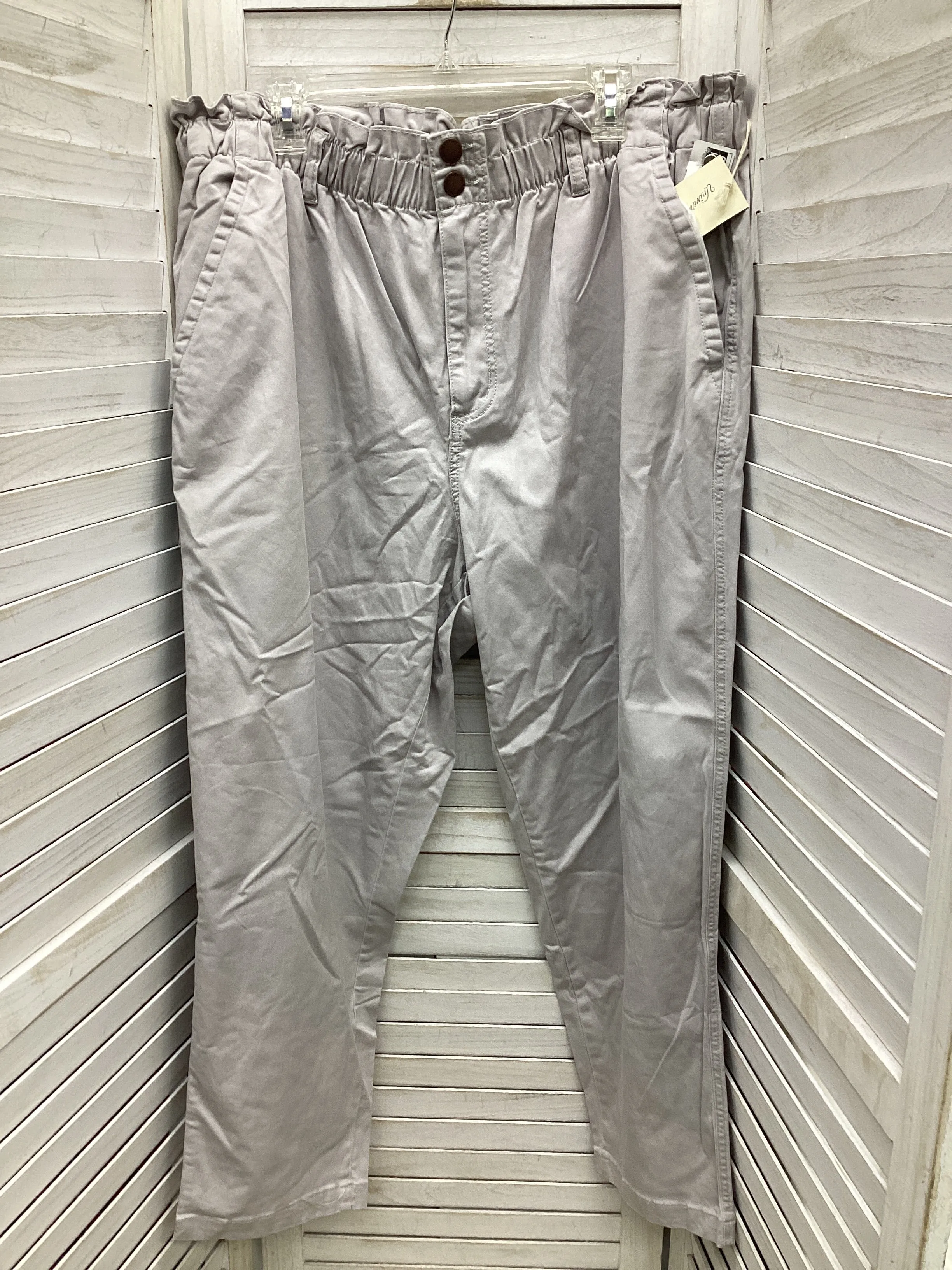 Pants Cargo & Utility By Universal Thread In Grey, Size: 20