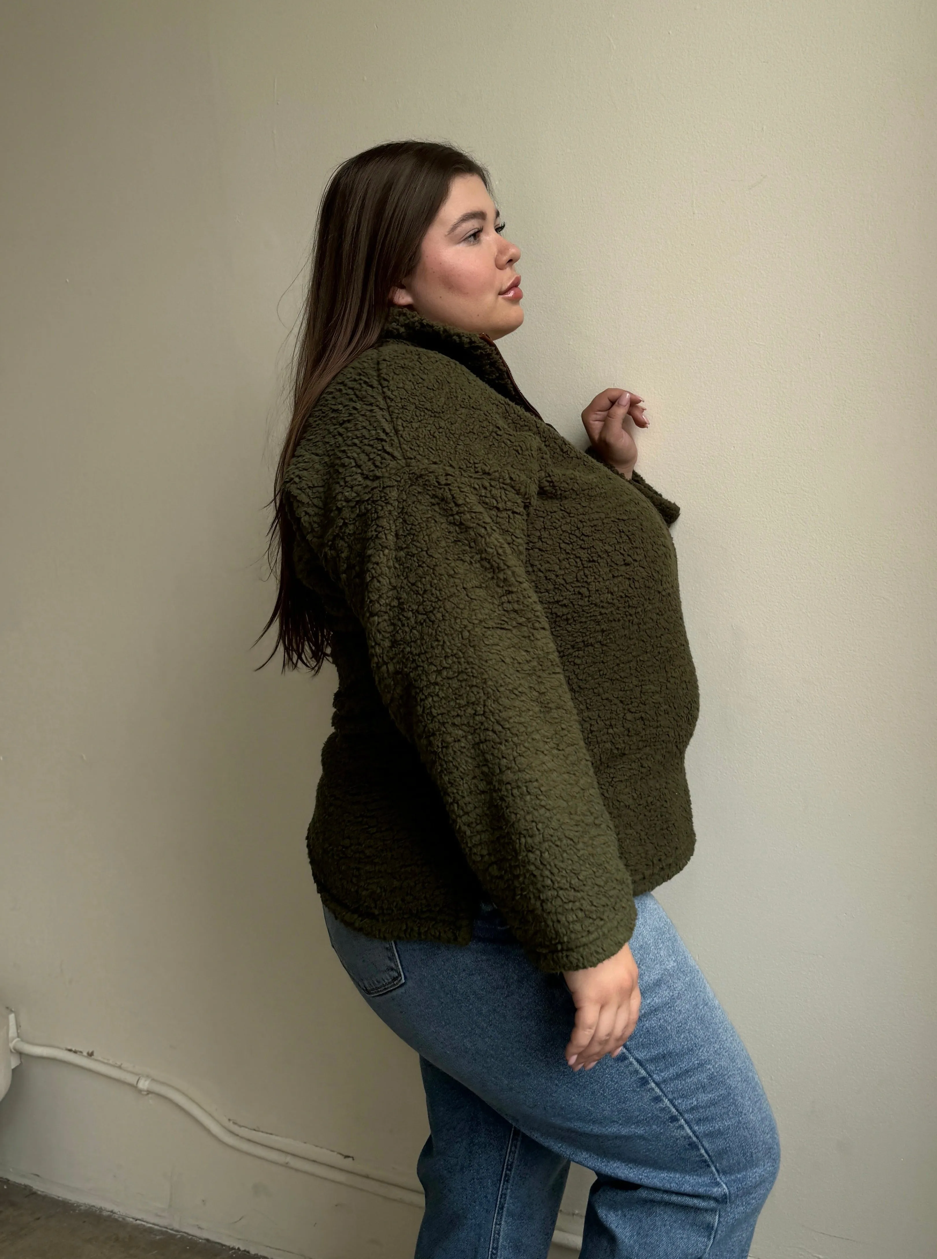 Plus Size Half Zip Teddy Pullover