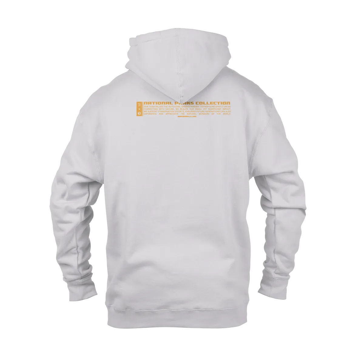 Saguaro National Park Hoodie