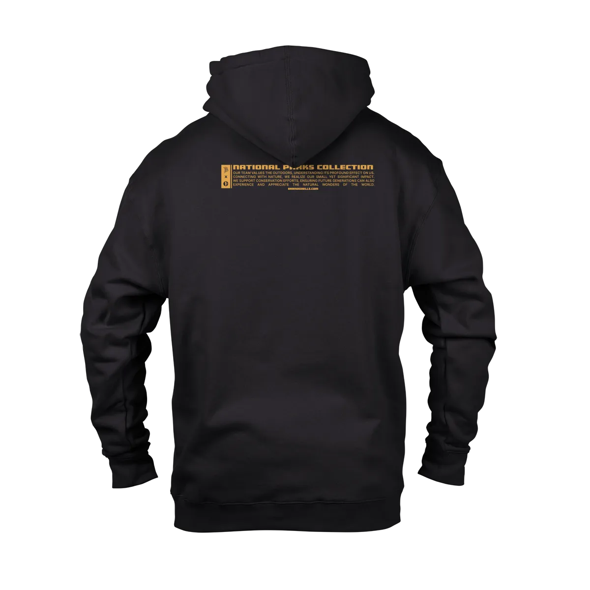 Saguaro National Park Hoodie