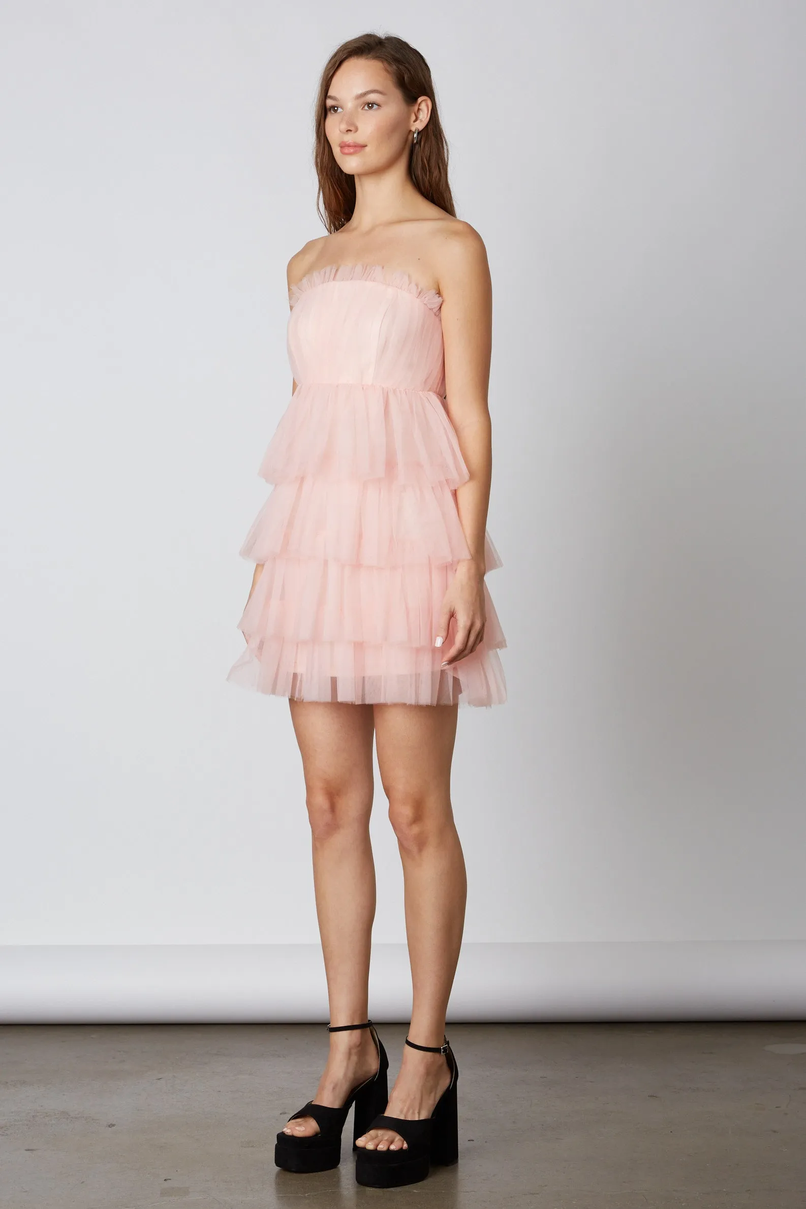 Tulle Mini Dress