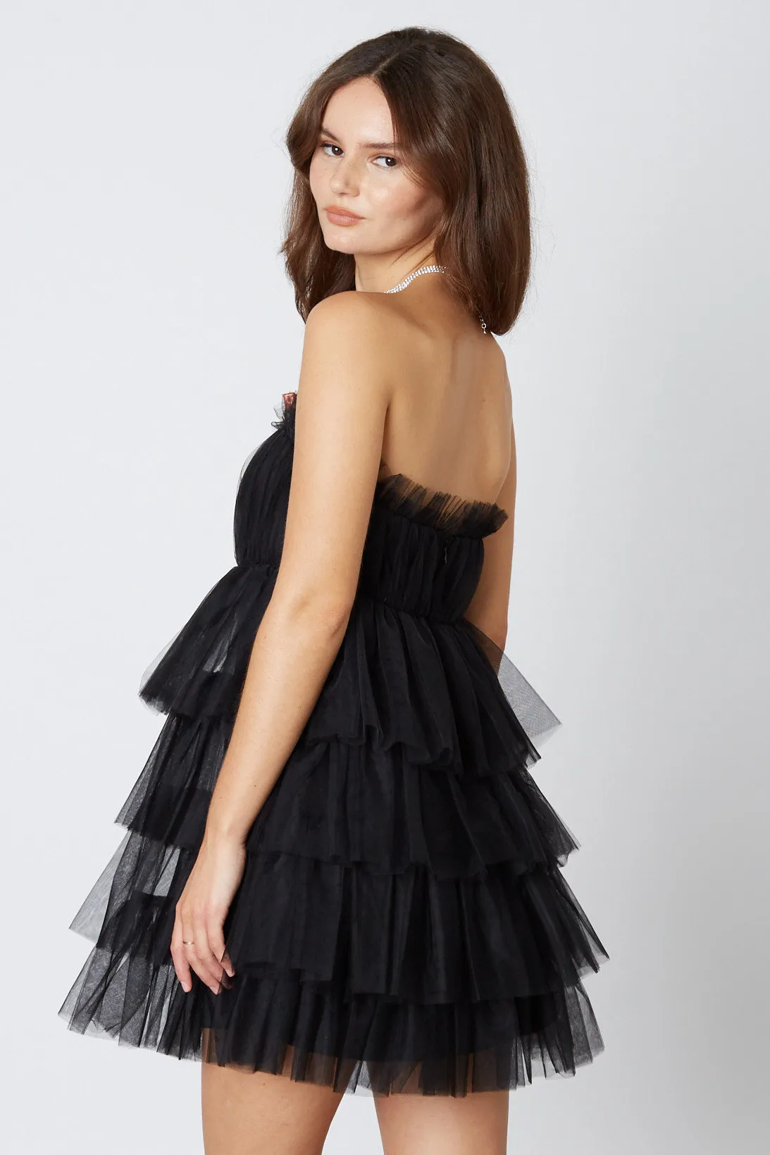 Tulle Mini Dress